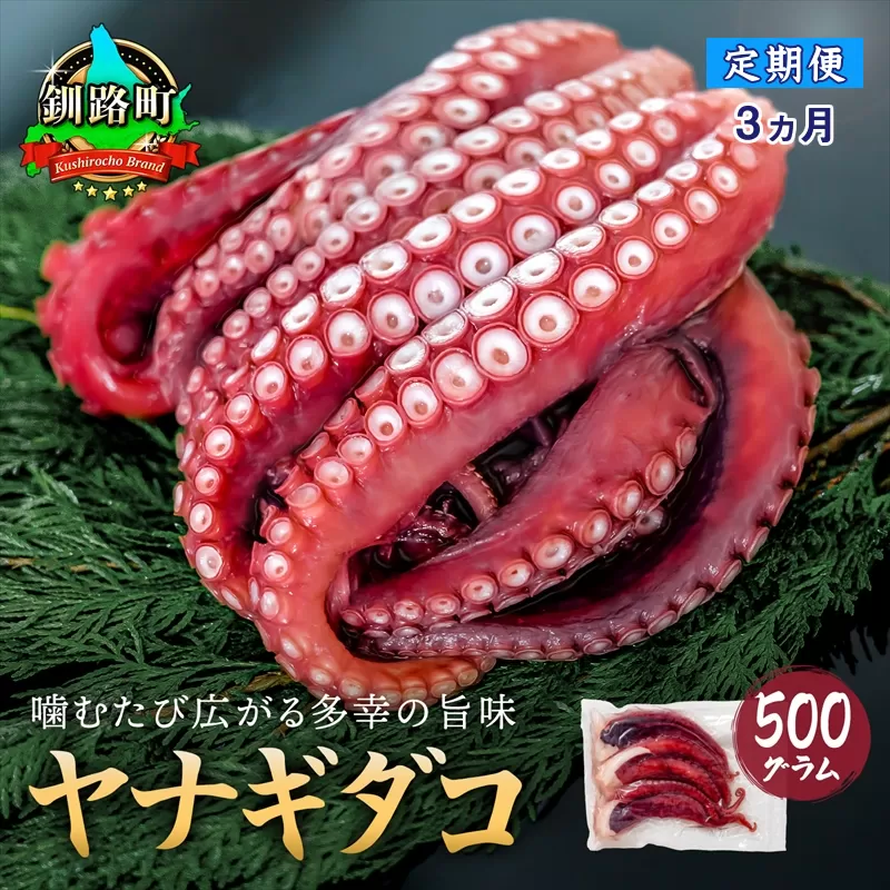 【定期便3ヶ月】ヤナギダコ500g【産地直送】プリプリ食感！釧路町昆布森産 ヤナギダコ｜噛むたびに広がる多幸の旨味 お刺身 鍋 煮物に最適 栄養満点 贈答用 にも最適 漁師直送 鮮度抜群 タコ 蛸 北海道 冷凍 釧路町 釧路超 特産品