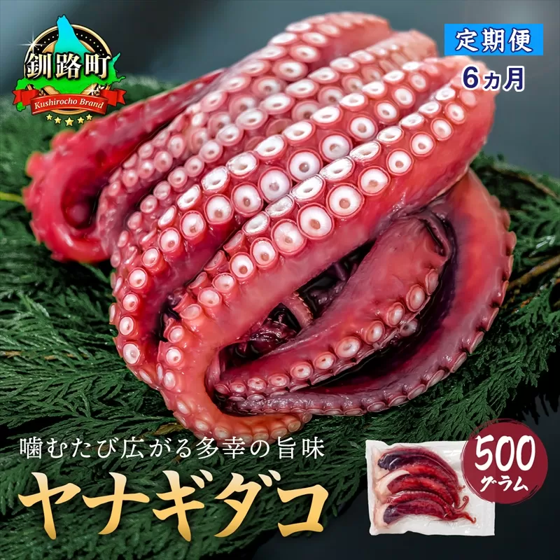 【定期便6ヶ月】ヤナギダコ500g【産地直送】プリプリ食感！釧路町昆布森産 ヤナギダコ｜噛むたびに広がる多幸の旨味 お刺身 鍋 煮物に最適 栄養満点 贈答用 にも最適 漁師直送 鮮度抜群 タコ 蛸 北海道 冷凍 釧路町 釧路超 特産品