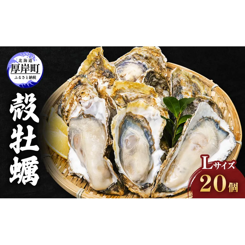 厚岸産 殻牡蠣 Lサイズ 20個 セットカキ 牡蠣