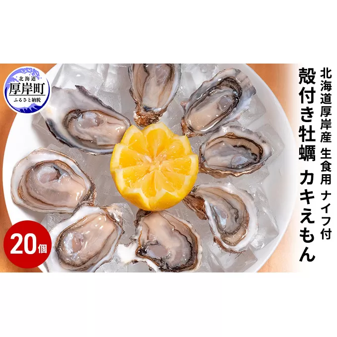 厚岸産 殻付き牡蠣（カキえもん）20個 生食用 ナイフ付（1個40～59g）