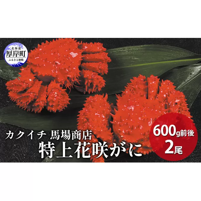 蟹屋厳選 北海道　厚岸産 特上花咲がに 600g前後×2尾 蟹 かに