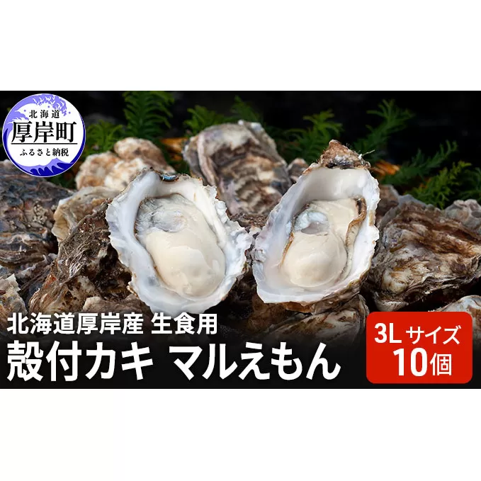 北海道厚岸産 生食用　殻付カキ3Lサイズ10個　マルえもん