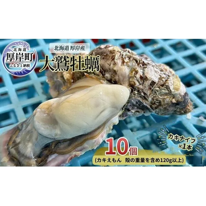 北海道 厚岸産 大鷲牡蠣 10個 カキ 牡蠣 殻牡蠣