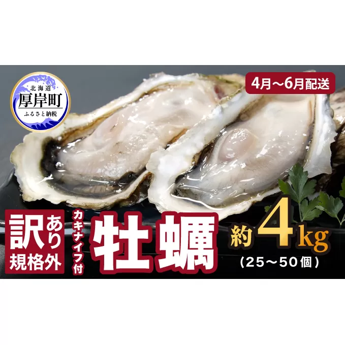 2025年4月～6月配送 訳あり 牡蠣 北海道厚岸産 殻付カキ 約4kg (25～50個) カキナイフ付 生食