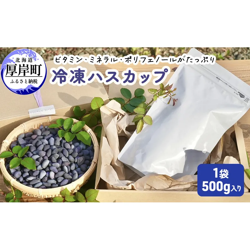 厚岸ハスカ 冷凍ハスカップ 1袋（500g）