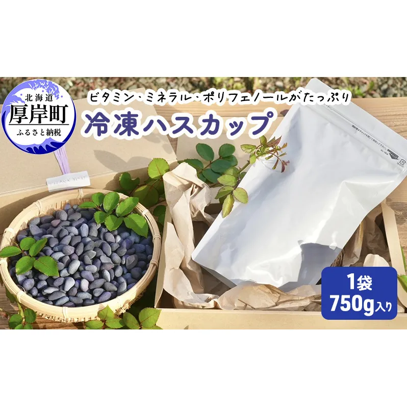 厚岸ハスカ 冷凍ハスカップ 1袋（750g）