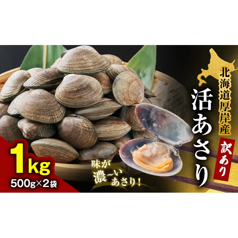 北海道 厚岸産 訳あり 活あさり 500g×2 (合計1kg) アサリ