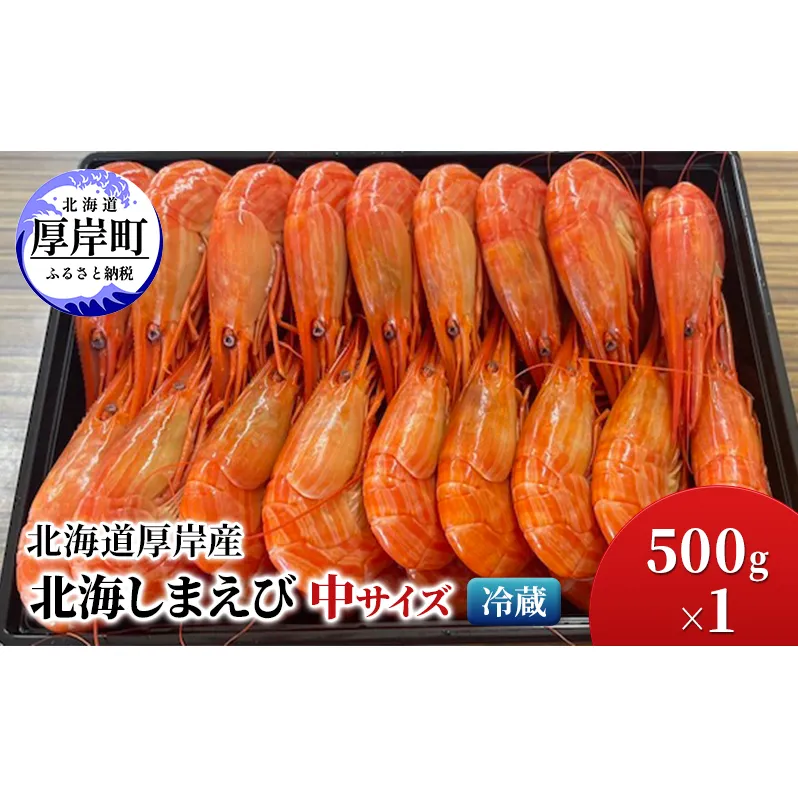 北海道 厚岸産 北海しまえび 中サイズ 500g×1 冷蔵 海老 エビ