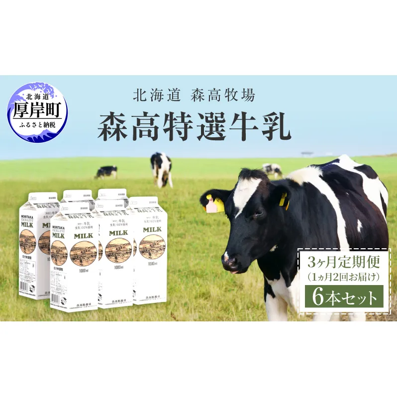 3ヵ月定期便 1ヵ月2回お届け 森高特選 牛乳 6本 セット (1本あたり1L×6本,合計36L) 北海道 牛乳 ミルク