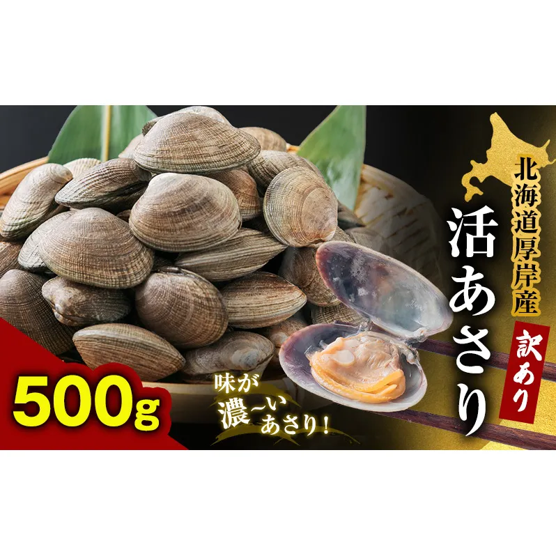 北海道 厚岸産 訳あり 活あさり 500g アサリ