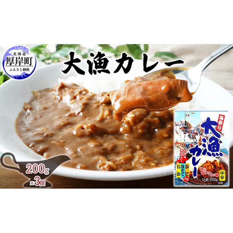 大漁カレー 200g×3個 カレー レトルト