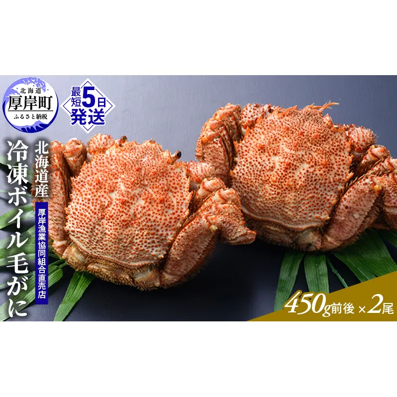 【3D冷凍】北海道産 【訳あり】冷凍ボイル毛がに 400g～450g前後×2尾セット 毛カニ 蟹 毛ガニ カニ かに