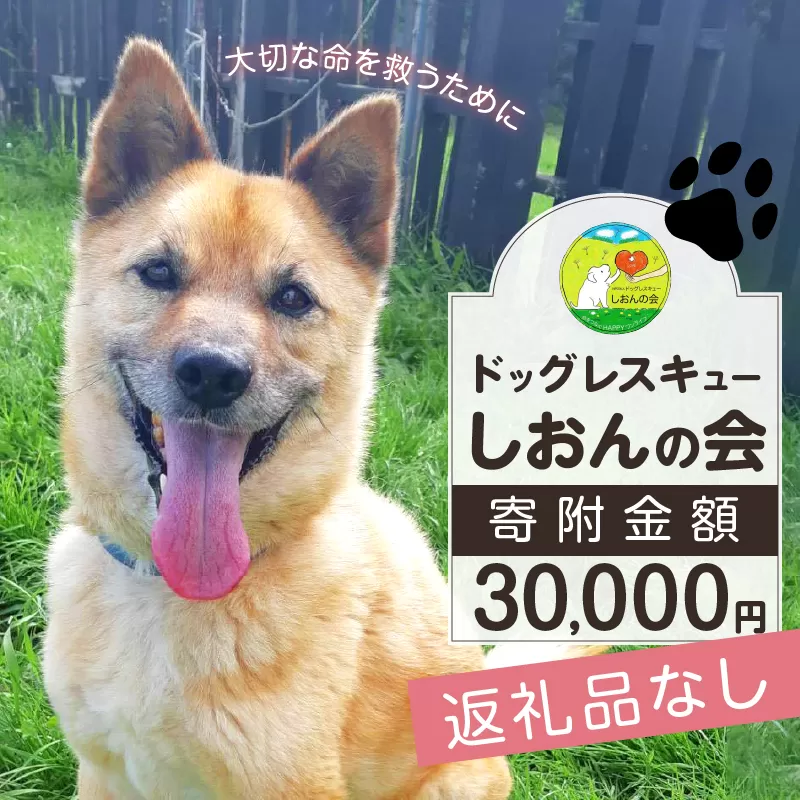 【野犬の保護活動】浜中町「ドッグレスキューしおんの会」を支援　30000円分 返礼品なし_H0039-007