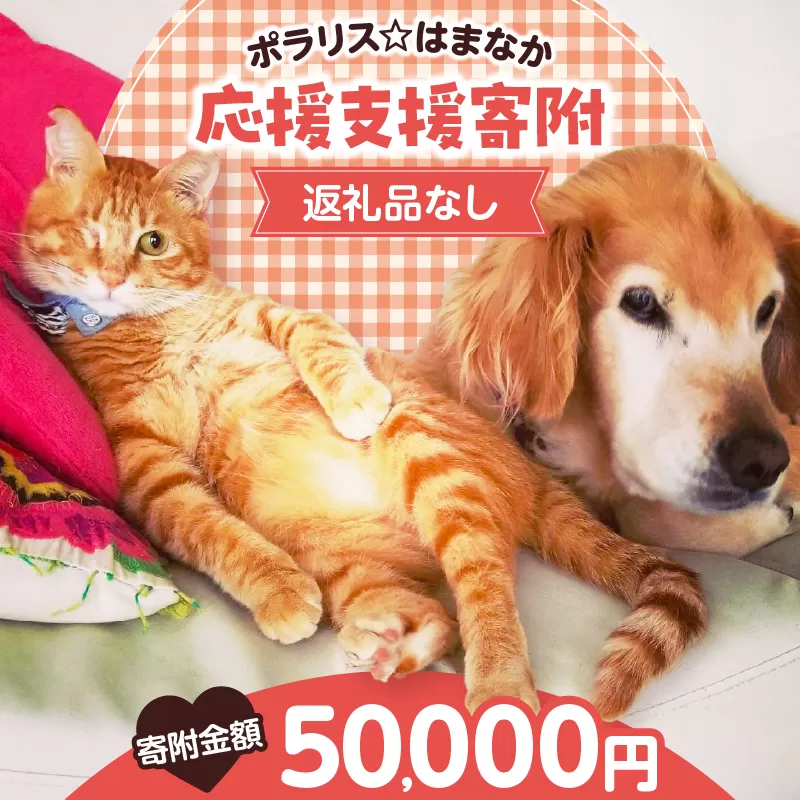 【動物愛護ボランティア】浜中町「ポラリス☆はまなか」を支援　50000円分 返礼品なし_H0048-008