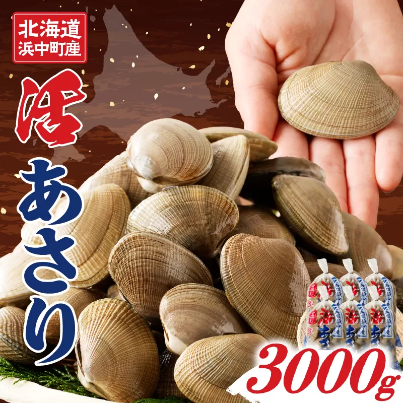 4月～6月発送分《先行予約・期間限定》浜中町産活あさり(500g×6袋セット)_230205-02