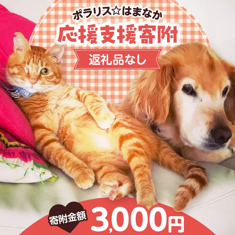 【動物愛護ボランティア】浜中町「ポラリス☆はまなか」を支援　3000円分 返礼品なし_H0048-003