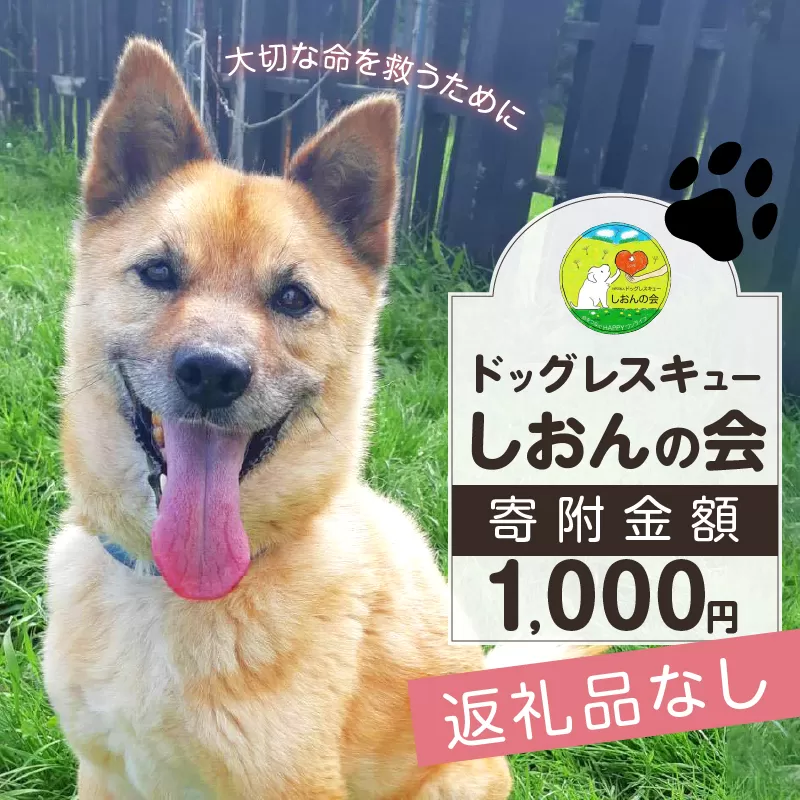 【野犬の保護活動】浜中町「ドッグレスキューしおんの会」を支援　1000円分 返礼品なし_H0039-001