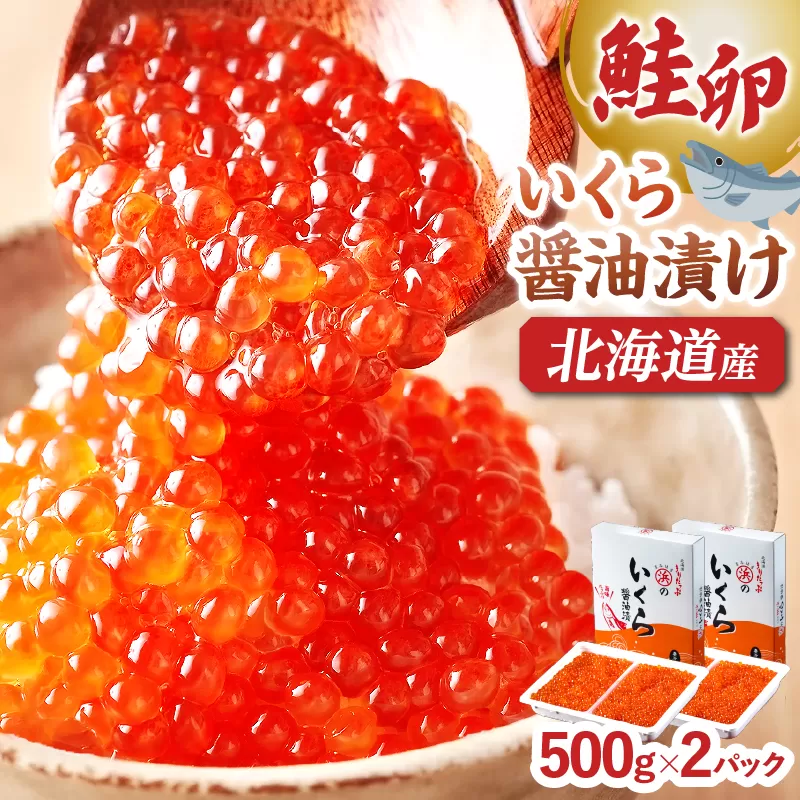 いくら醤油漬け(鮭卵)　500g×2パック_H0001-039