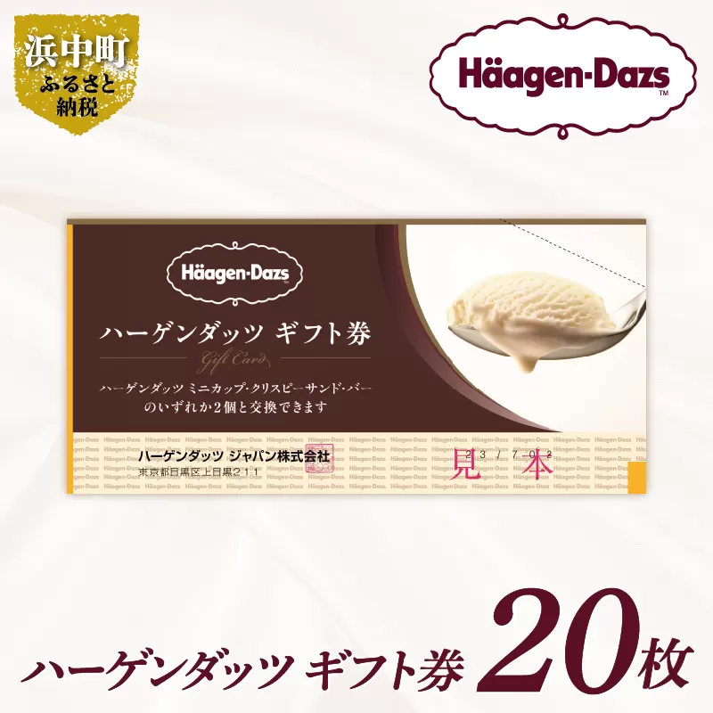 【9月30日で受付終了!!】あとから選べる『ハーゲンダッツ ギフト券　20枚』アイスクリーム アイス スイーツ デザート_H0010-005