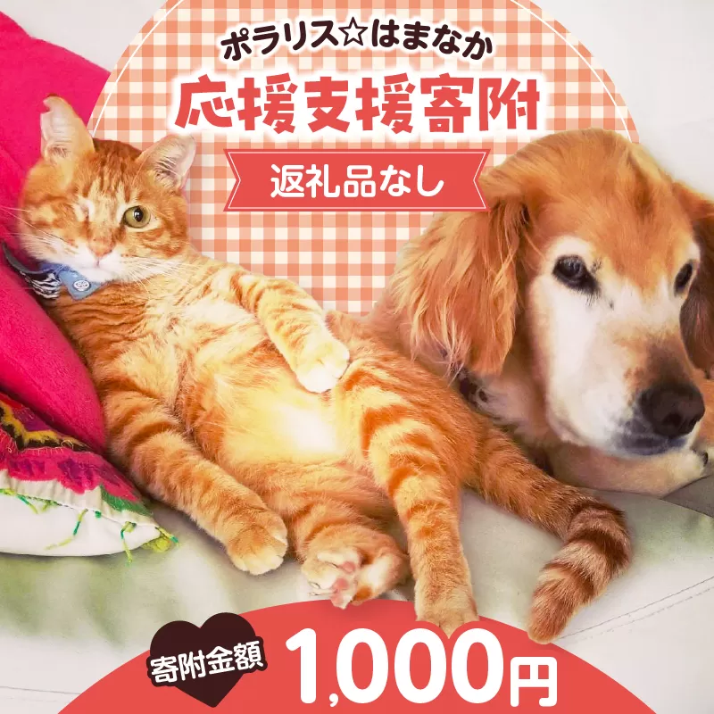 【動物愛護ボランティア】浜中町「ポラリス☆はまなか」を支援　1000円分 返礼品なし_H0048-001