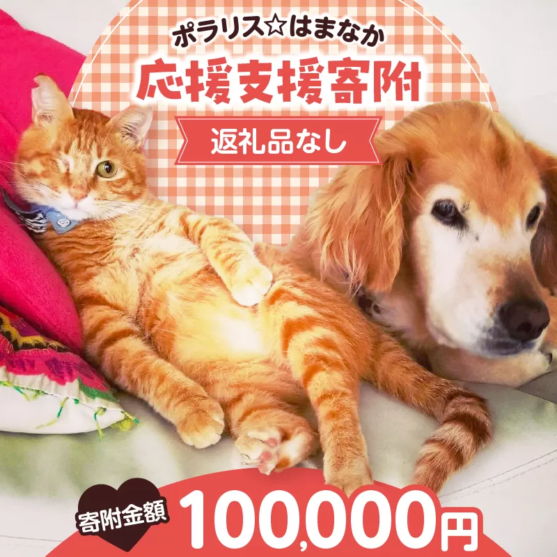 【動物愛護ボランティア】浜中町「ポラリス☆はまなか」を支援　100000円分 返礼品なし_H0048-009