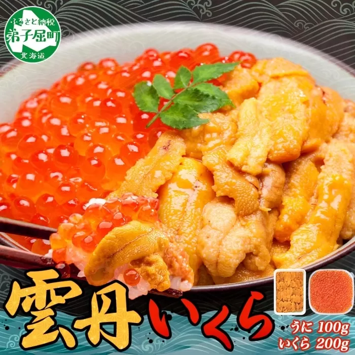 2498.  うに 100g いくら醤油漬け 200g ウニ チリ産 冷凍 いくら 二色丼 雲丹 イクラ 海鮮 海鮮丼 うに丼 いくら丼 いくら醤油漬け 送料無料 北海道 弟子屈町