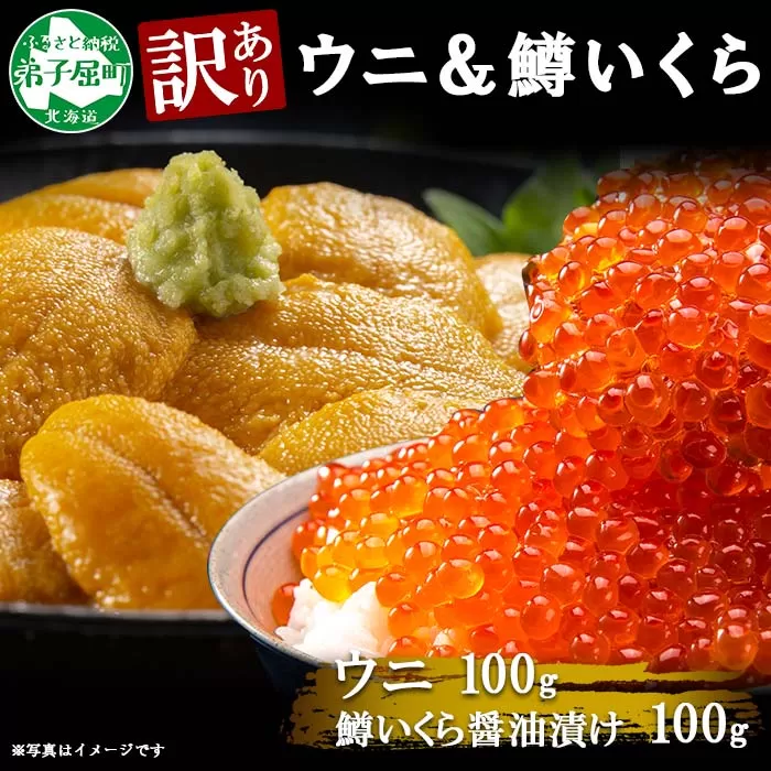 3097.訳あり うに チリ産 冷凍 鱒 いくら 醤油漬け ウニ100g マスいくら 100g 雲丹 不揃い うに わけ あり 海鮮 丼 海鮮丼 刺身 うに丼 いくら丼 魚卵 自宅用 送料無料 北海道 弟子屈町