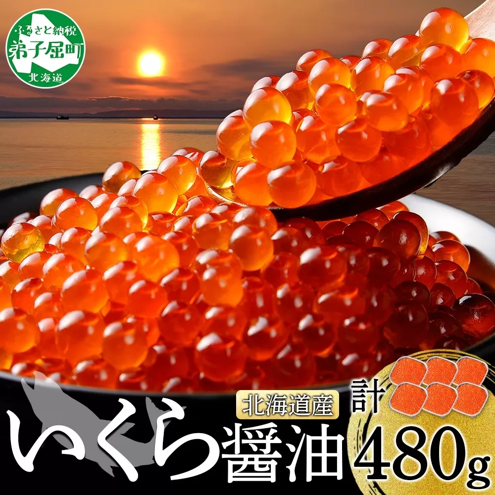 年内配送 12月15日まで受付 2484. いくら醤油漬け 80g×6個 いくら イクラ 魚卵 魚介 海鮮 送料無料 北海道 弟子屈町