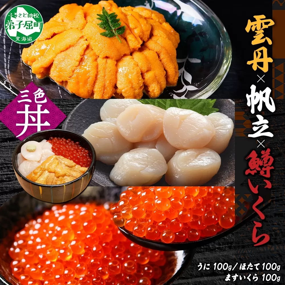 2939. うに チリ産 冷凍 100g 鱒いくら醤油漬け 100g ホタテ 100g セット ウニ 雲丹 いくら イクラ ますいくら ほたて  帆立 海鮮 海鮮丼 三色丼 送料無料 北海道 弟子屈町