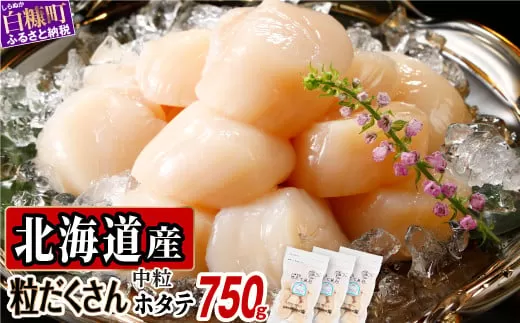 オホーツク産お刺身用ホタテ 750g (250g×3) ホタテ ほたて ほたて貝柱 ホタテ貝柱 北海道産ほたて 北海道産ホタテ 貝柱 玉冷 送料無料 魚介類 海鮮 特大 北海道 おすすめ 人気 ランキング 帆立 天然 ふるさと納税 冷凍ほたて 冷凍ホタテ 北海道産帆立 大粒帆立 帆立貝柱 冷凍 旨さ 天然ほたて 天然ホタテ 北海道 白糠町