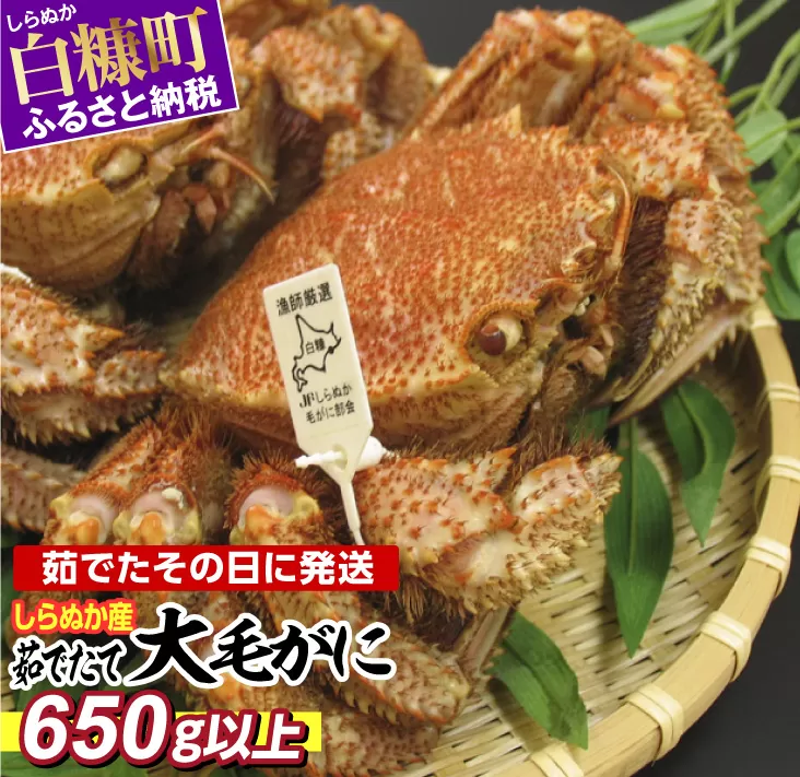 しらぬか産 茹でたて大サイズ毛がに【650g以上】