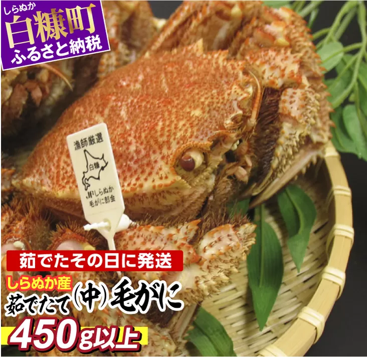 しらぬか産 茹でたて中サイズ毛がに【450g以上】