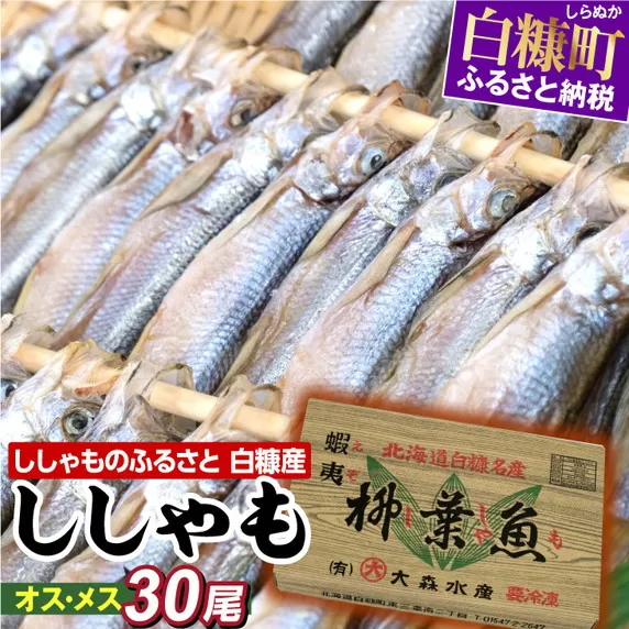 ししゃものふるさと　しらぬか産ししゃも【オスメス30尾】