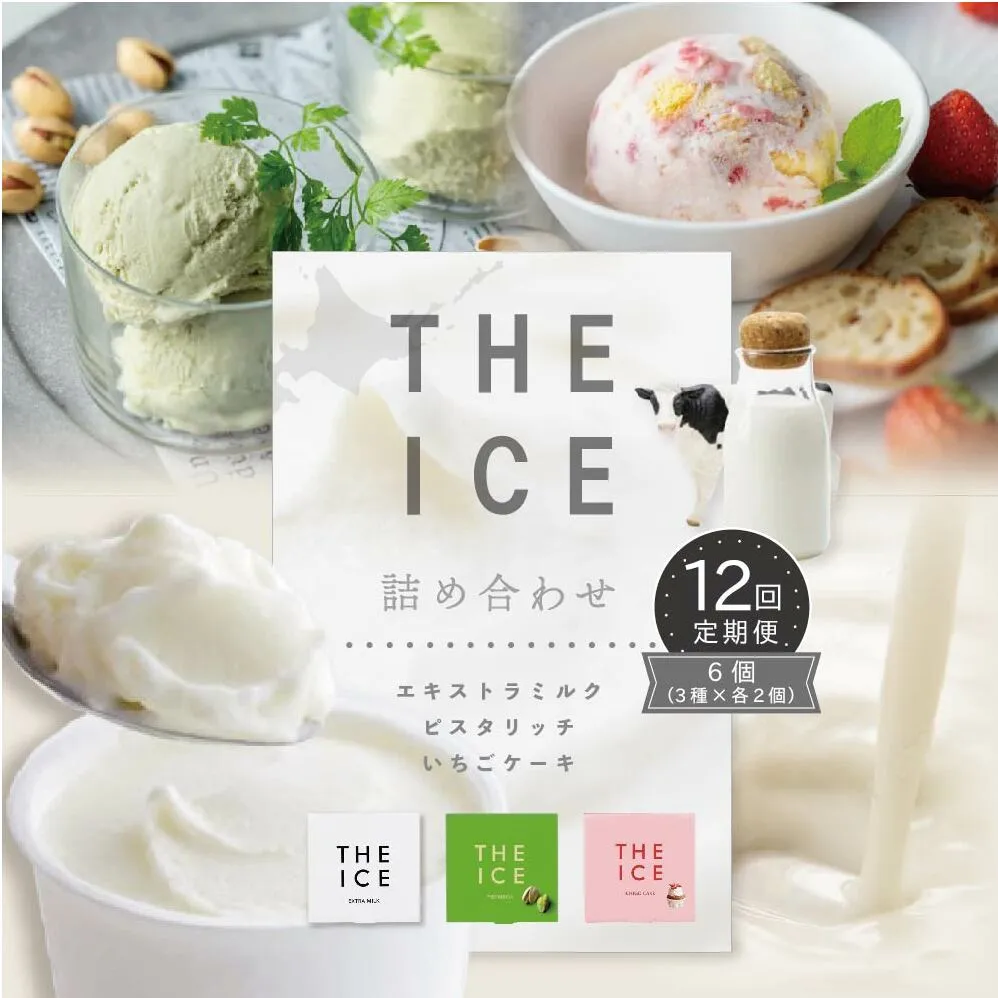 【毎月定期便】【THE ICE】3種詰合せ6個セット×12ヵ月定期便 【be003-1072-100-12】（J FARM AMUSE 株式会社）