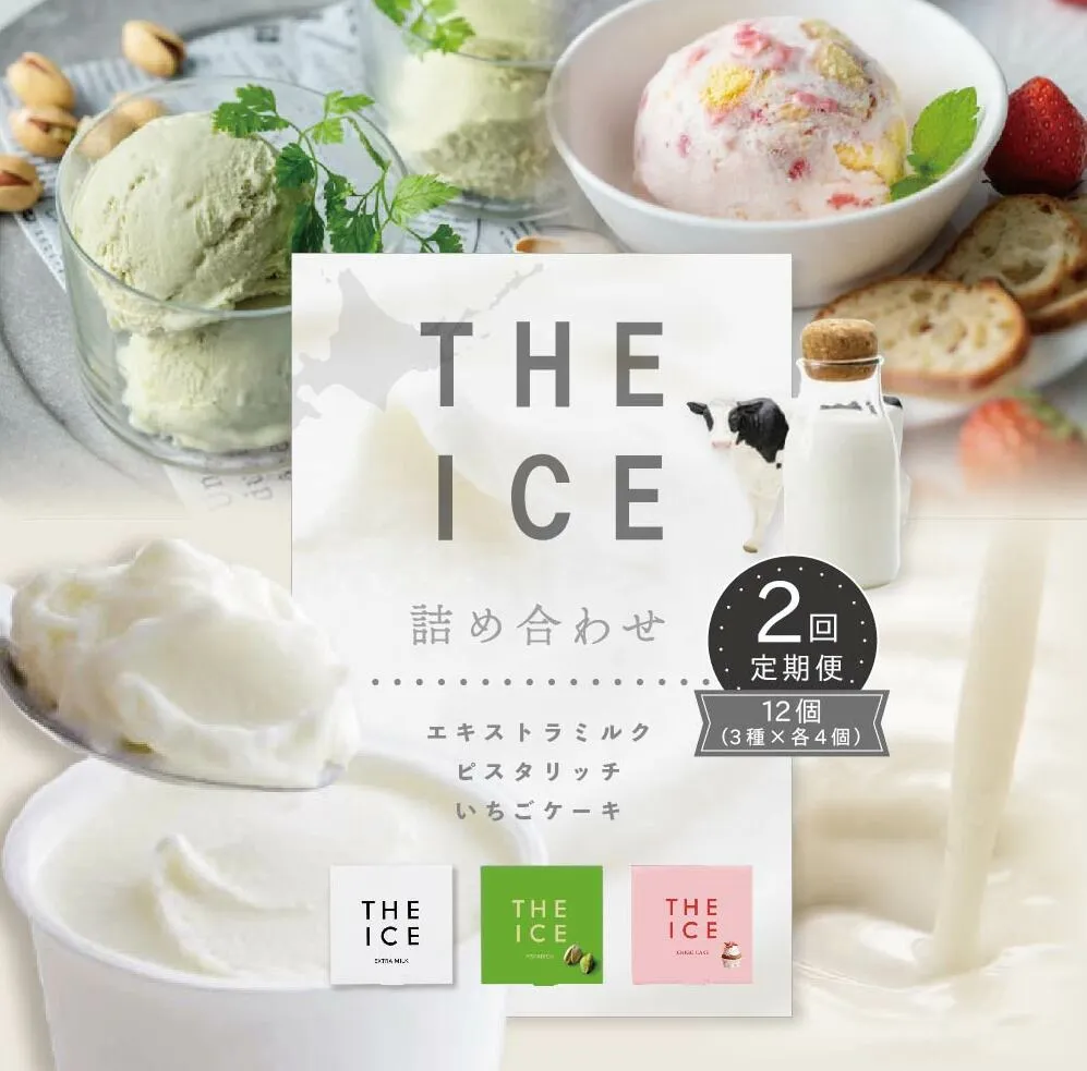 【毎月定期便】【THE ICE】3種詰合せ12個セット×2ヵ月定期便 【be003-1073-100-2】（J FARM AMUSE 株式会社）