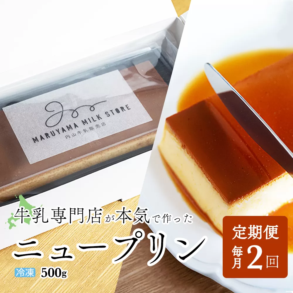 【定期便】濃厚プリン　New Pudding（ニュープディング）（500g×1本）×2ヶ月【be152-0931-100-2】