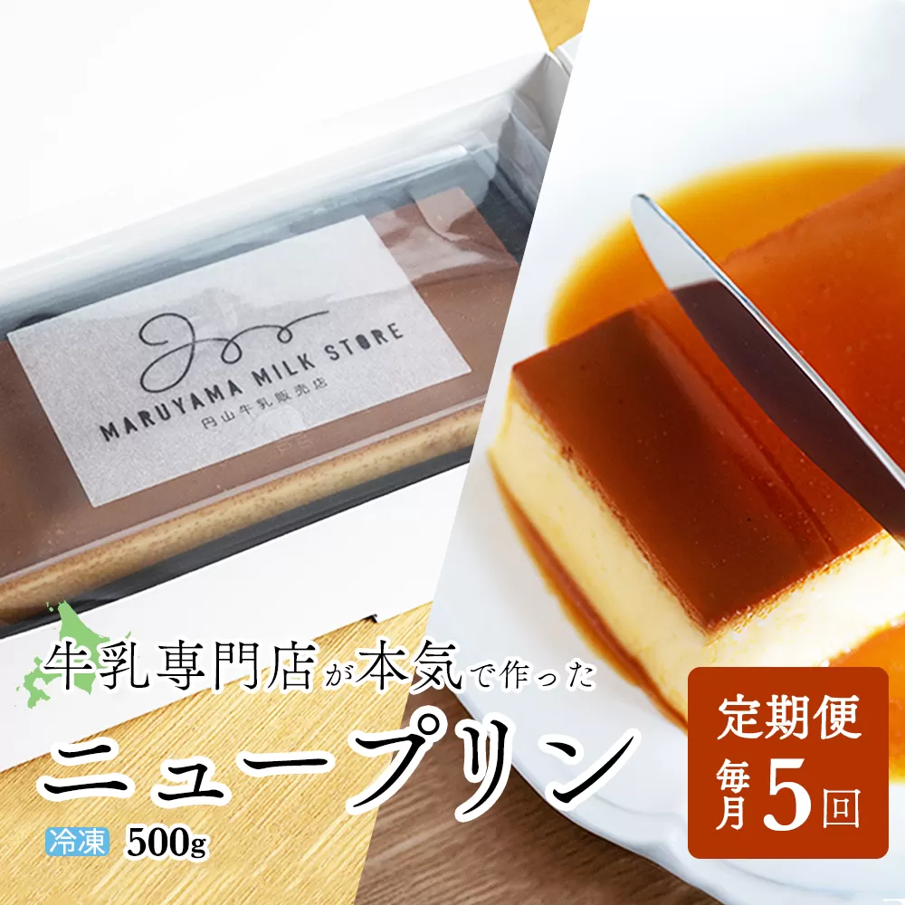 【定期便】濃厚プリン　New Pudding（ニュープディング）（500g×1本）×5ヶ月【be152-0931-100-5】