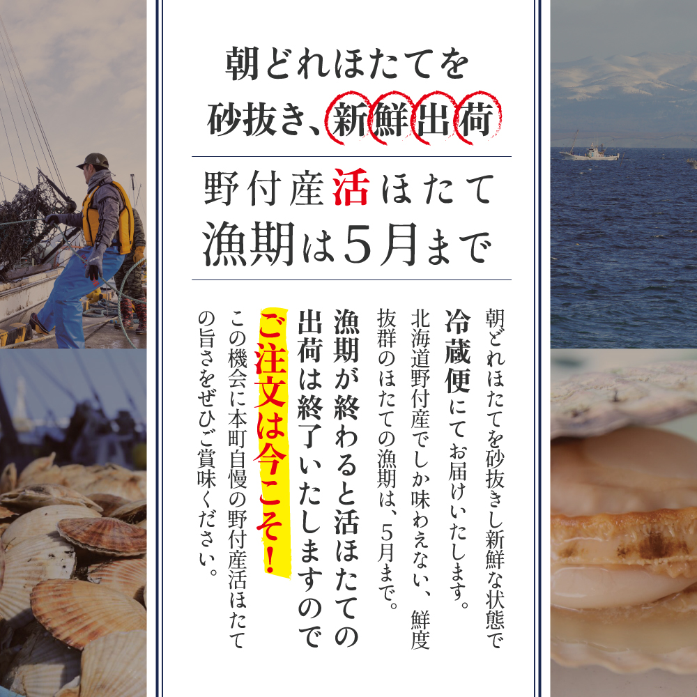 先行予約】特大活ほたて ３kg相当 7～14枚入り＜朝どり新鮮出荷!＞｜別海町｜北海道｜返礼品をさがす｜まいふる by AEON CARD