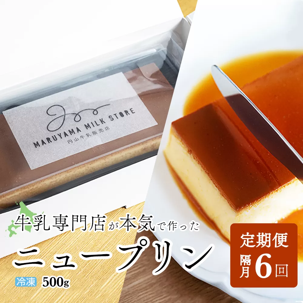 【隔月定期便】濃厚プリン　New Pudding（ニュープディング）（500g×1本）×6回【be152-0931-200-6】