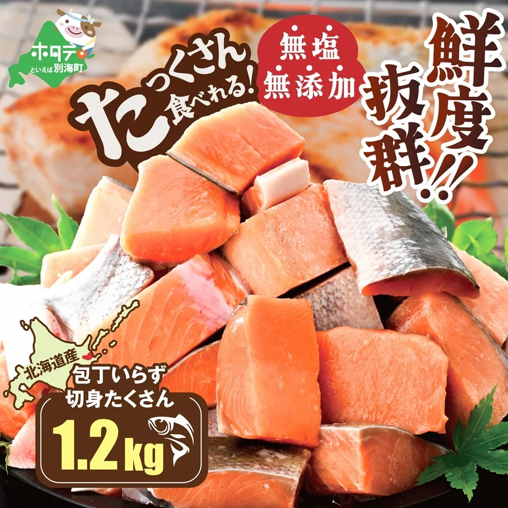 北海道産 カット秋鮭 約 1.2kg （600g×2） 天然 無塩 訳あり サイズ不揃い【KT0000020】