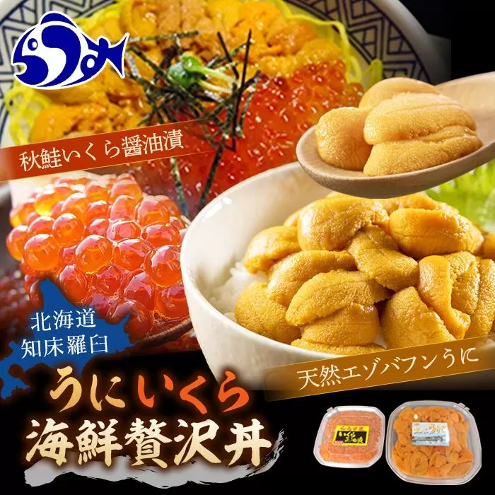 知床羅臼産 うに・いくら贅沢海鮮丼セット（無添加エゾバフンうに（塩水うに）100g×1、秋鮭いくら醤油漬100g×1）