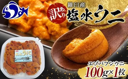 【先行予約】訳あり塩水うに（ばふんうに）100g×1枚 北海道 知床 羅臼 天然 エゾバフン ウニ 雲丹 海鮮 魚介