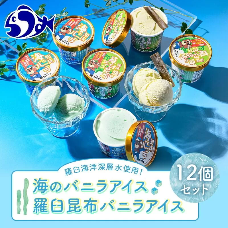 羅臼海洋深層水使用！ 海のバニラアイス・羅臼昆布バニラアイス 12個セット  アイスクリーム スイーツ デザート 夏 北海道 羅臼町 知床 生産者 支援 応援