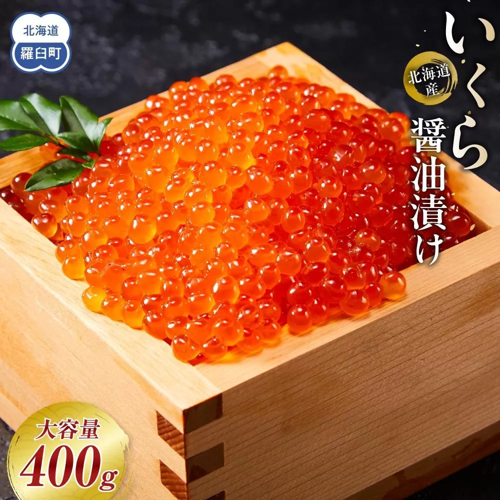 【6月発送】北海道産 いくら（鮭卵）醤油漬け 大容量400g(200g×2パック) 国産 小分けパック イクラ 海鮮丼 ギフト 贈り物 魚介類 魚介 海産物 鮭 シャケ しゃけ 生産者 支援 応援