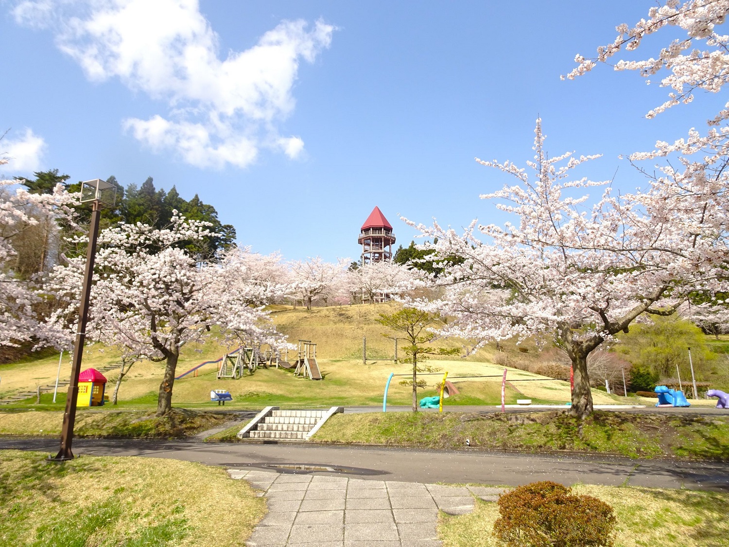 下田公園の桜と展望台