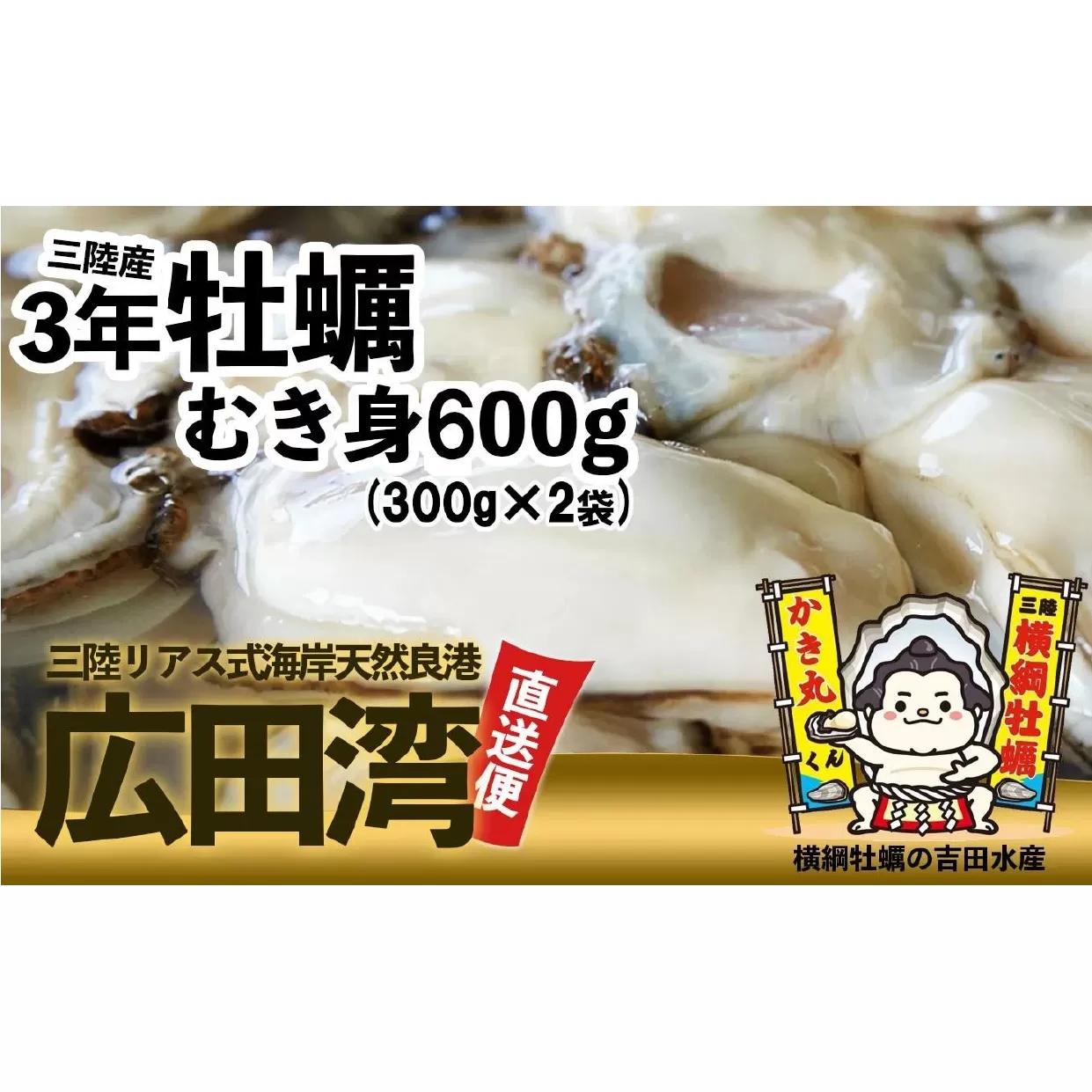 横綱牡蠣！吉田水産のむき身牡蠣 Mサイズ 600g(300g×2p) 【 むき身 牡蠣 かき 大粒 小分け 加熱用 冷蔵 三陸 リアス海岸 広田湾 3年牡蠣 】RT2265