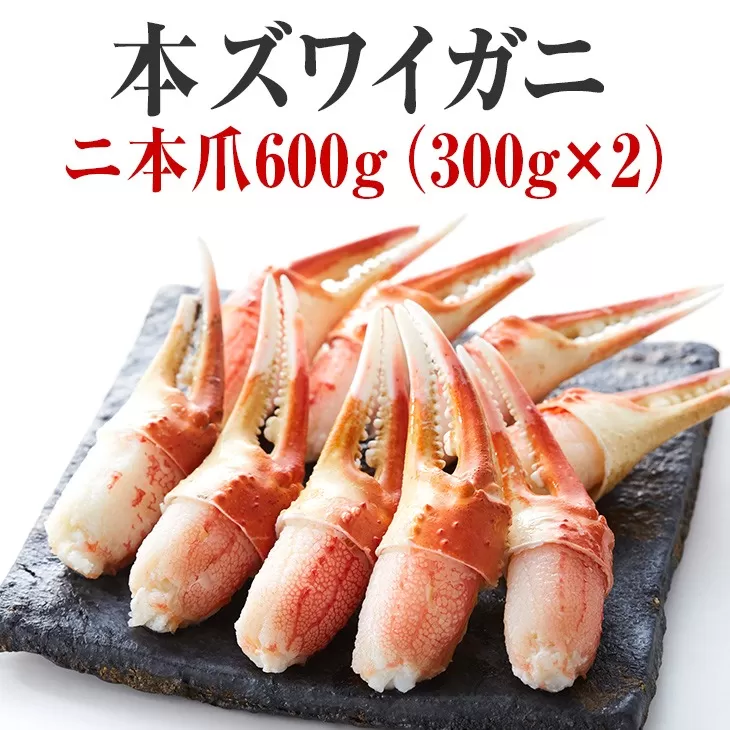 【本ズワイガニ】二本爪600g (300g×2パック) 【 ずわいがに むき身 ずわい蟹 ズワイ蟹 ずわい ズワイ 蟹 カニ カニ爪 蟹爪 カニ爪肉 ズワイガニ ボイル 冷凍 】