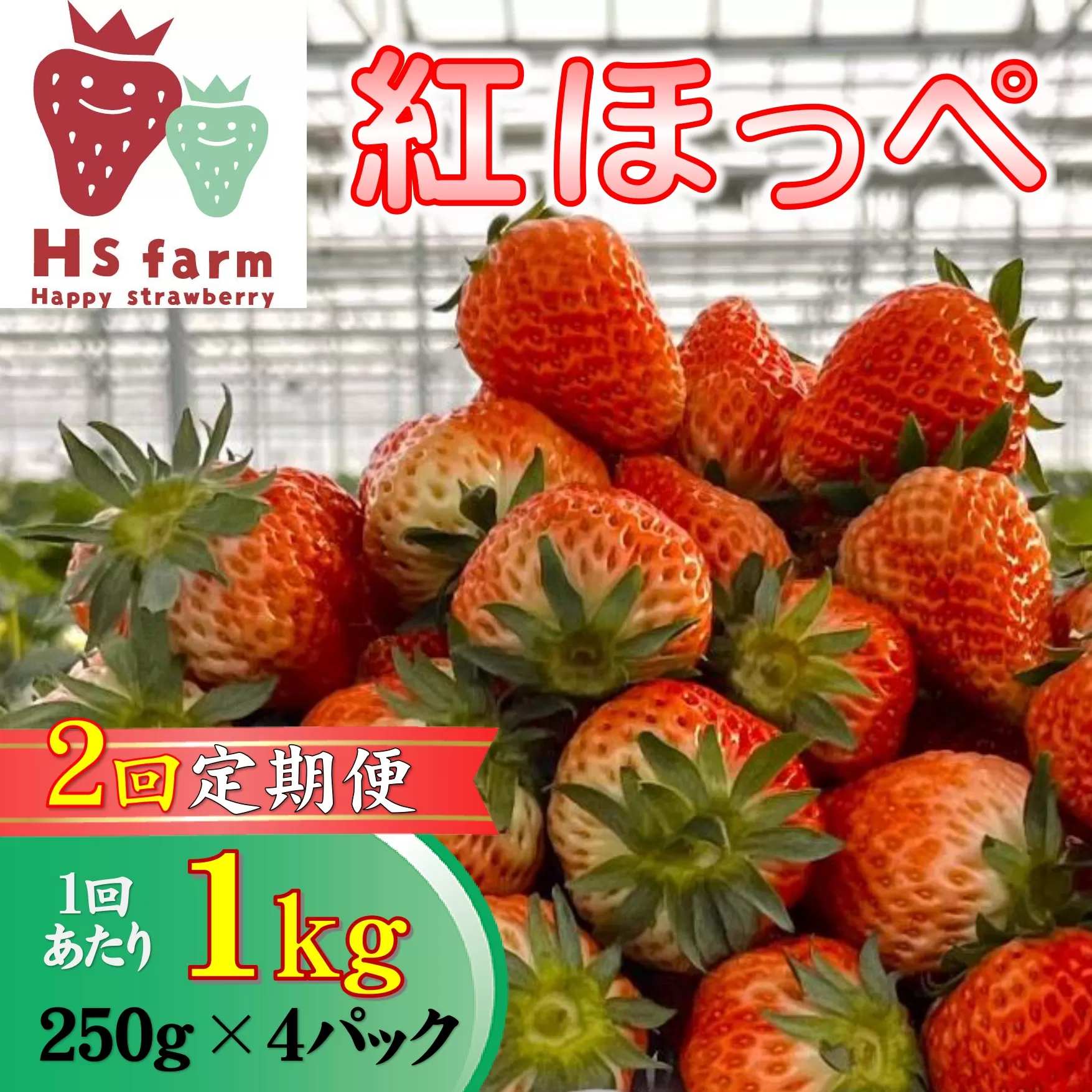 【数量限定 / 先行予約】 2回定期便 新鮮いちご〈品種：紅ほっぺ〉 約1kg (250g×4パック) Happy Strawberry 旬の時期に収穫してすぐ発送！ 【 訳あり いちご フルーツ 旬 小分け 人気 岩手 陸前高田 】RT2590