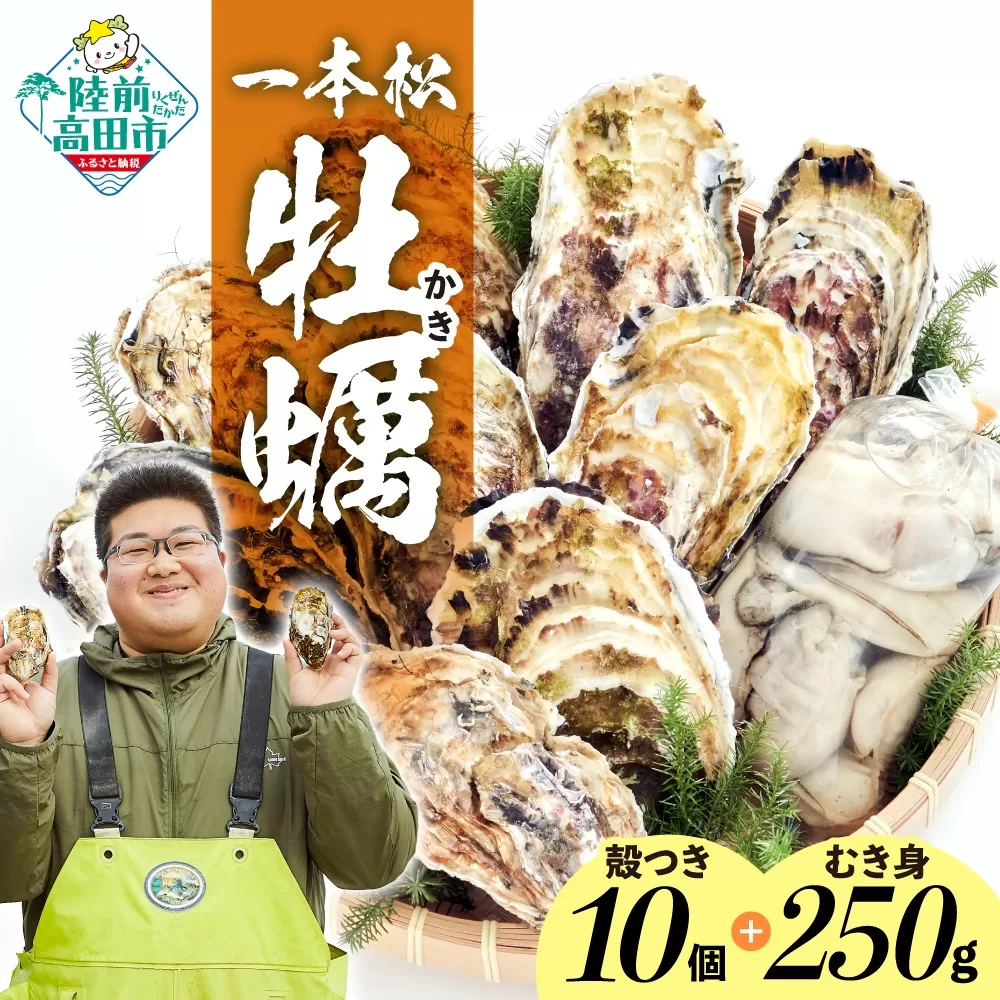 『一本松牡蠣』 生食用 殻付き牡蠣 10個 & 加熱用 むき身牡蠣 250g セット 【 天然 牡蠣 かき 殻付き むき身 生食 大粒 人気 国産 陸前高田 三陸産 広田湾産 気仙町 】RT2377