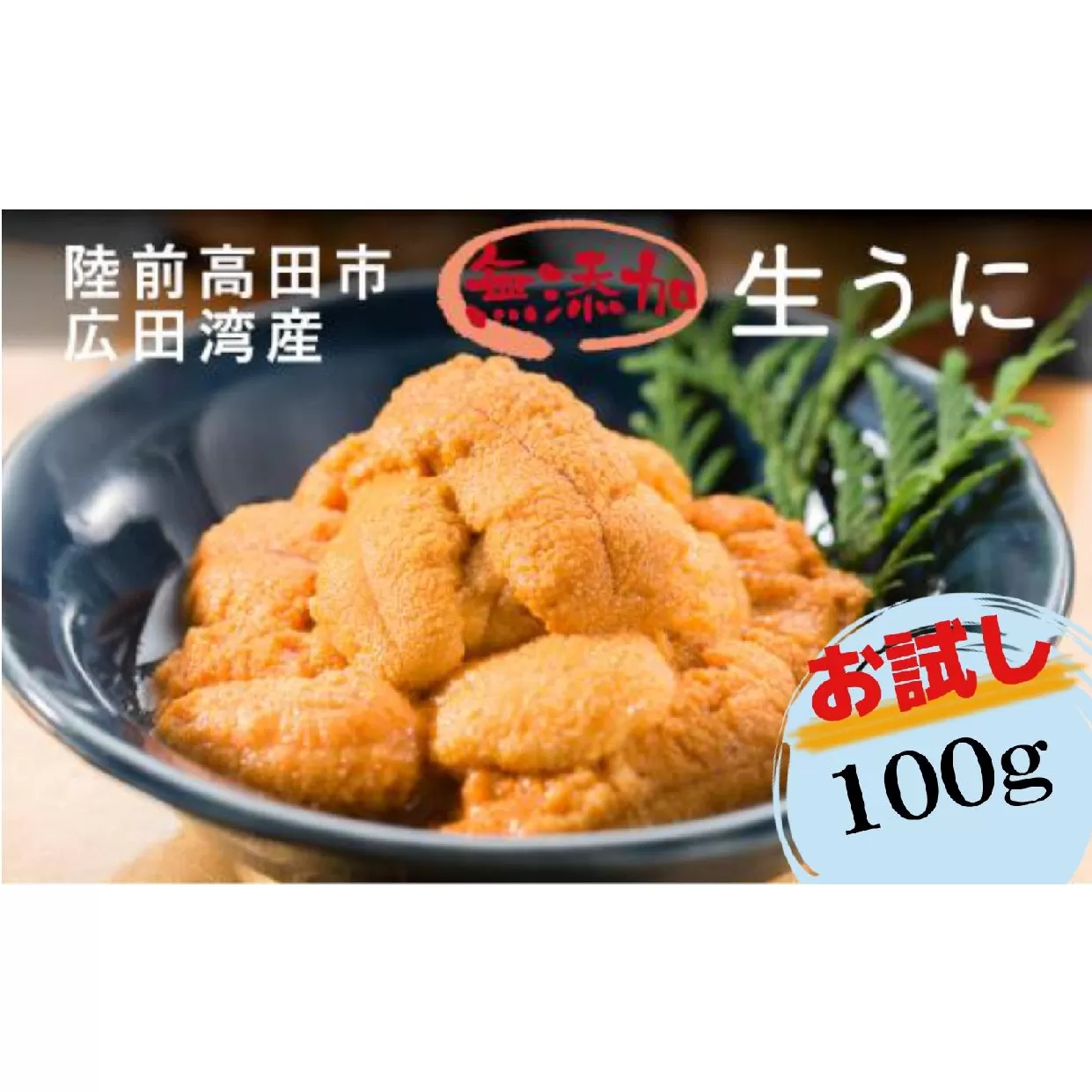 【先行予約 / 個数限定】 生うに 100g ( 塩水パック ) 獲れたその日に出荷！ 【 ムラサキウニ 無添加 天然 濃厚 ミョウバン不使用 おためし 数量限定 三陸産 】2025年5月下旬頃から順次発送予定 RT2424-R7